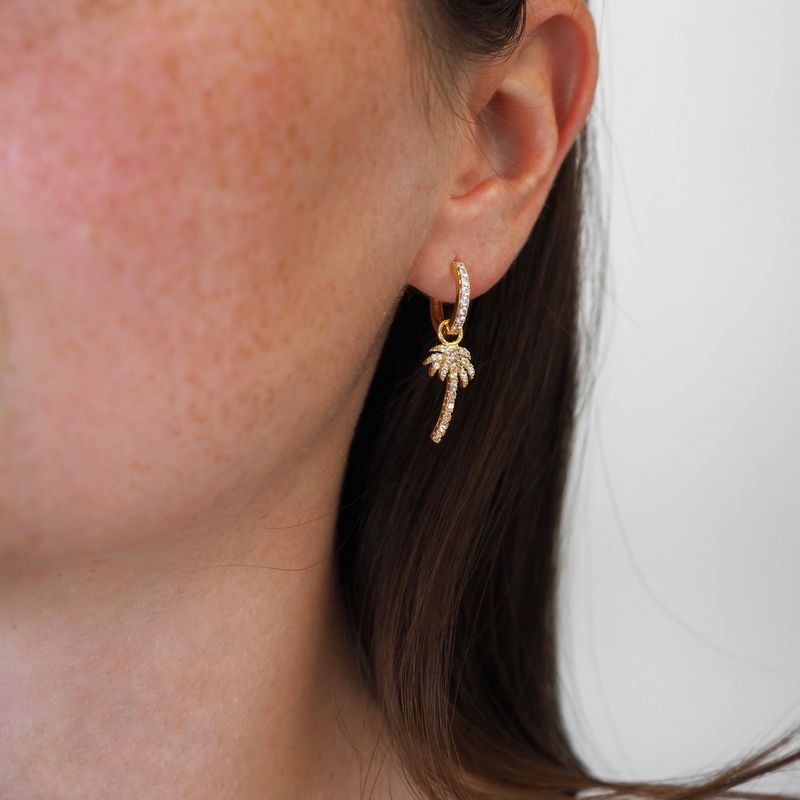 Charm palme blank